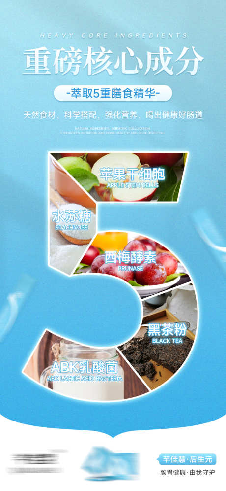 微商肠道健康产品成分海报_源文件下载_PSD格式_1080X2339像素-成分,宣传,产品-作品编号:2025040616349088-志设-zs9.com