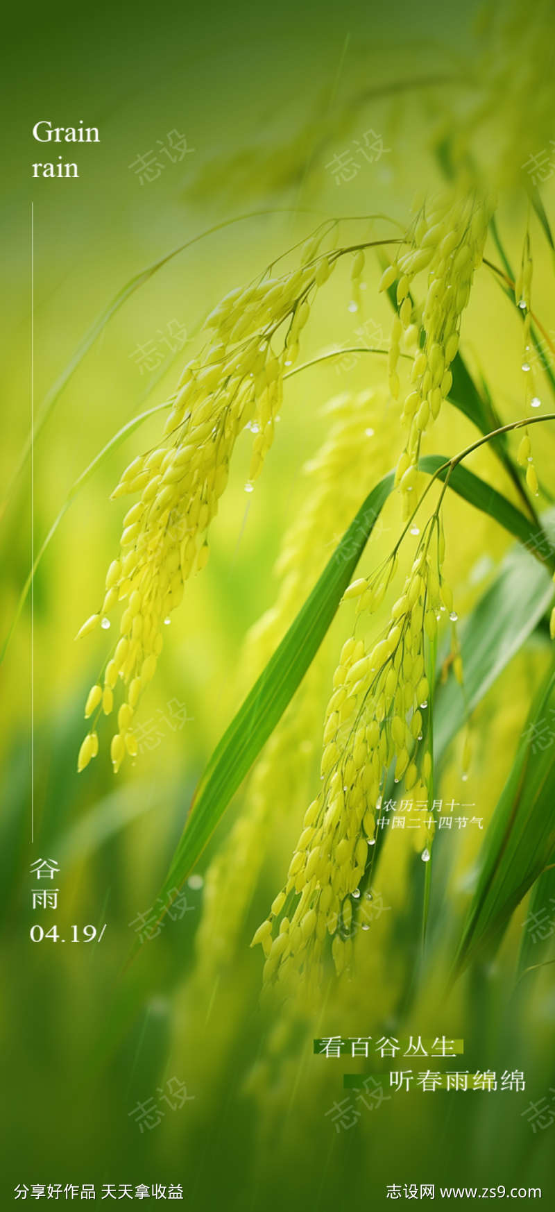 看百谷丛生谷雨海报