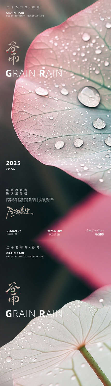谷雨海报设计_源文件下载_PSD格式_1080X4680像素-春雨,雨天,谷雨-作品编号:2025040809583517-志设-zs9.com