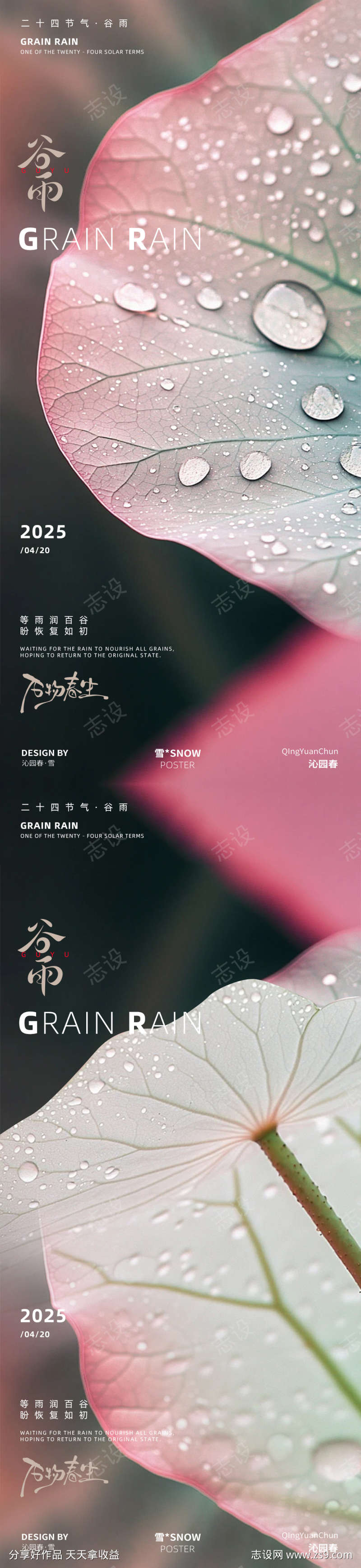 谷雨海报设计
