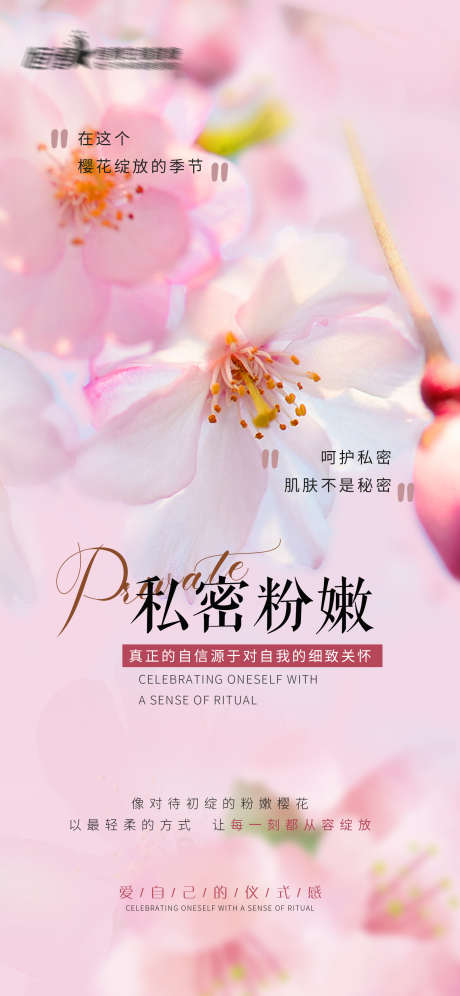 医美私密私密粉嫩_源文件下载_PSD格式_1620X3507像素-海报,粉嫩,私密-作品编号:2025040715362719-志设-zs9.com