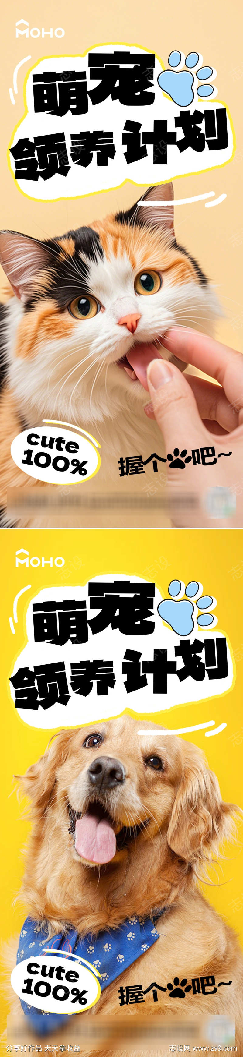 萌宠领养计划
