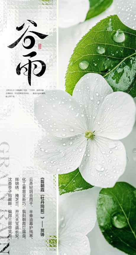 谷雨节气海报宣传_源文件下载_PSD格式_2268X4252像素-朋友圈,宣传,海报-作品编号:2025040811583551-志设-zs9.com