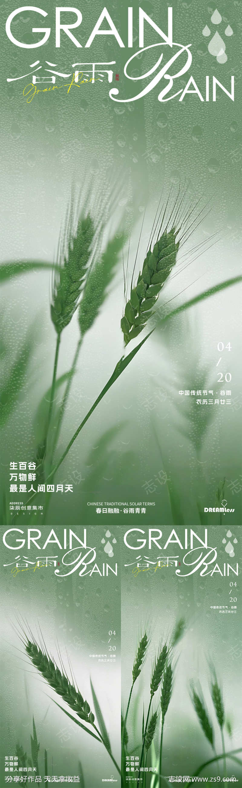 谷雨麦穗摄影简约海报