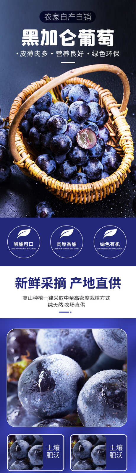 黑加仑葡萄水果生鲜详情页_源文件下载_PSD格式_790X9330像素-水果,葡萄,黑加仑-作品编号:2025040814523409-志设-zs9.com