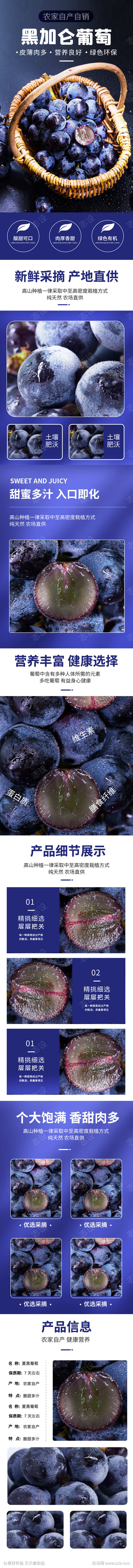 黑加仑葡萄水果生鲜详情页