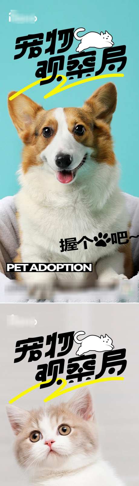 宠物萌宠观察家_源文件下载_PSD格式_1080X4684像素-萌宠,领养,狗粮-作品编号:2025040910295673-志设-zs9.com