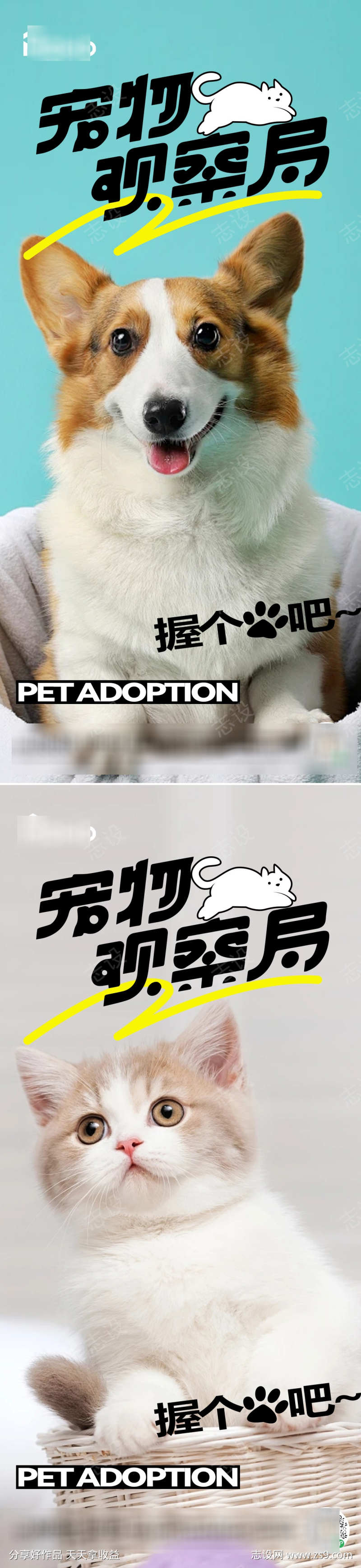 宠物萌宠观察家