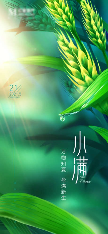 小满节气海报_源文件下载_AI,PSD格式_1000X2165像素-生长,麦穗,新生-作品编号:2025040914383052-志设-zs9.com