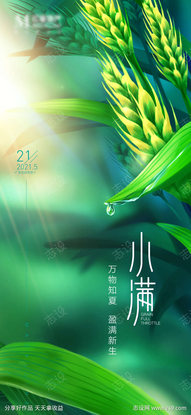 小满节气海报