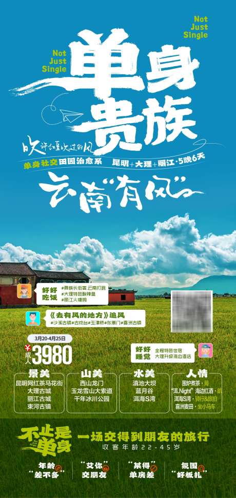 云南旅游海报_源文件下载_PSD格式_1500X3167像素-热带雨林,孔雀,大象-作品编号:2025041016339218-志设-zs9.com