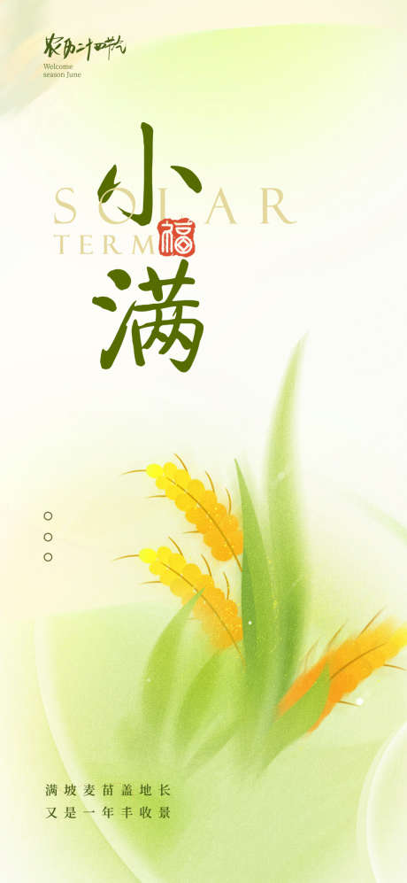小满二十四节气海报_源文件下载_PSD格式_1080X2340像素-水稻,海报,二十四节气-作品编号:2025041113375057-志设-zs9.com