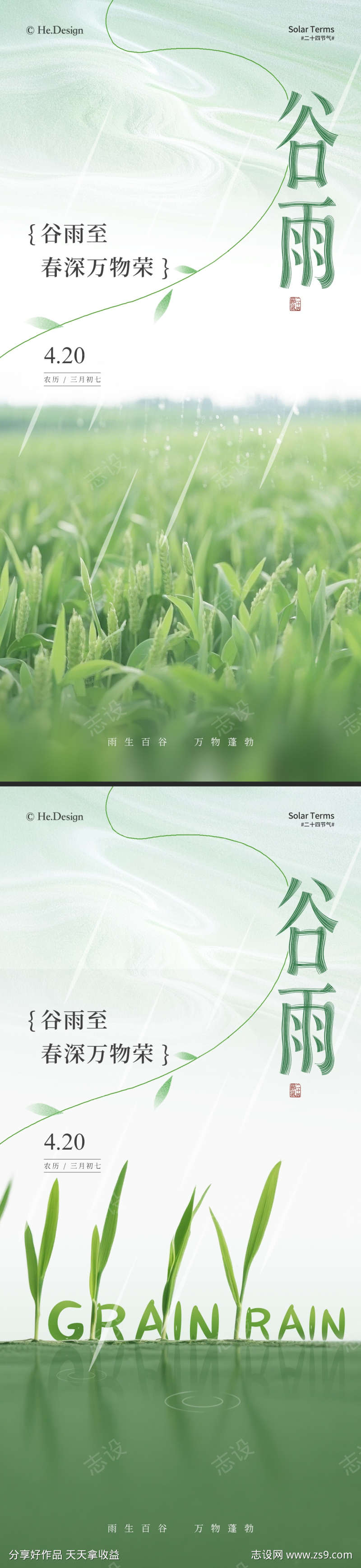 谷雨简约节气海报
