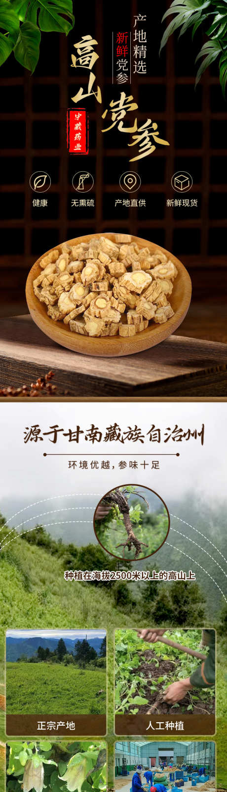 高山党参详情页主图_源文件下载_PSD格式_750X12381像素-党参详情页,高山党参,党参-作品编号:2025041213092843-志设-zs9.com