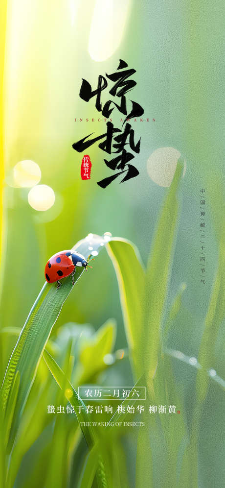 七星瓢虫惊蛰节气海报_源文件下载_PSD格式_1242X2688像素-二十四节气,惊蛰,海报-作品编号:2025041415537880-志设-zs9.com