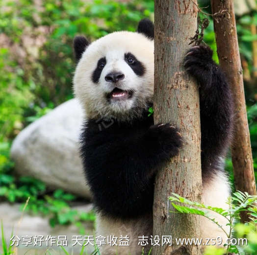 -设计导航-shejidh.cn