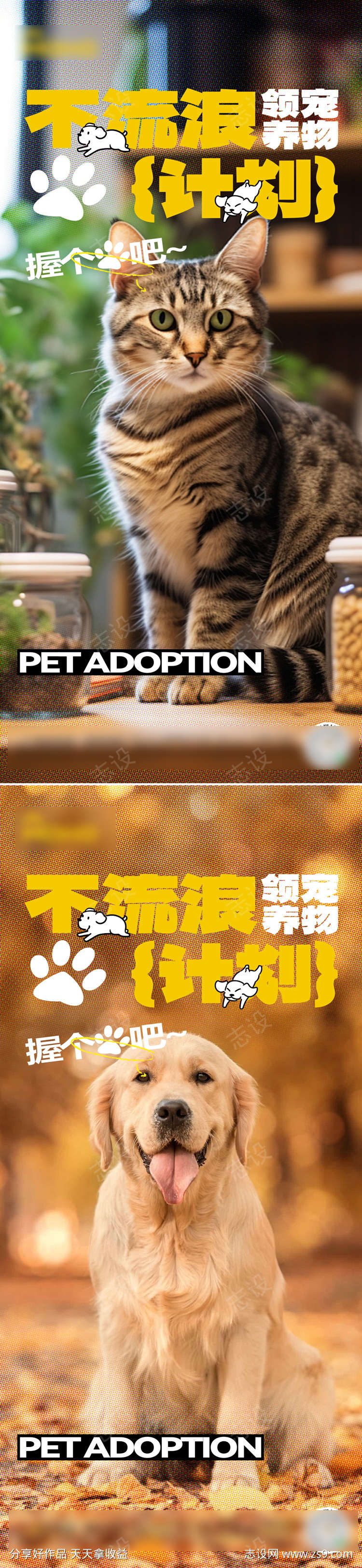 萌宠宠物领养