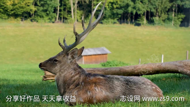 -设计导航-shejidh.cn