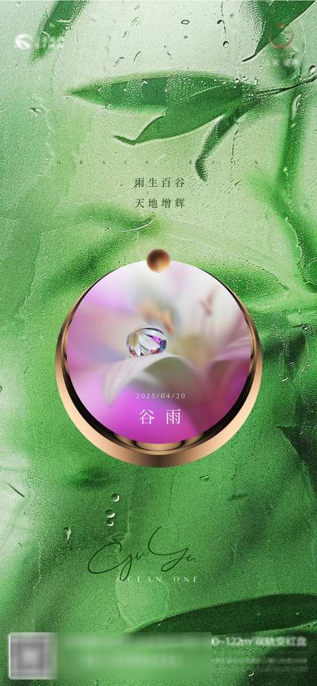 谷雨节气海报_源文件下载_AI,PSD格式_1217X2633像素-春天,海报,节气-作品编号:2025041716042828-志设-zs9.com