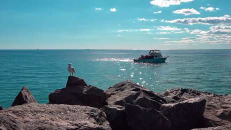 唯美海边视频_视频素材下载_MP4格式_1920X1080像素-海鸥,海边,唯美-作品编号:2025041710091354-志设-zs9.com
