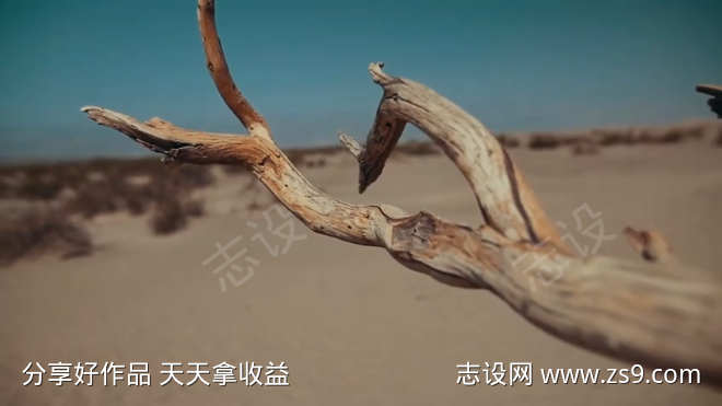 沙漠上的树枝镜头平移视频素材