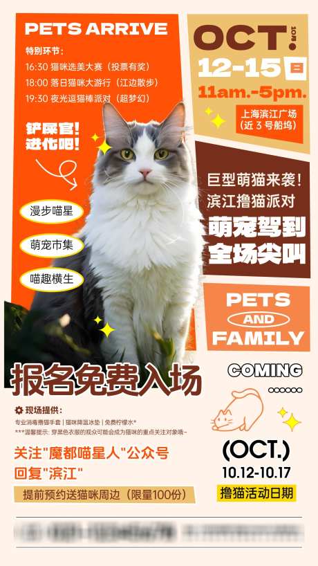 猫咪宠物活动宣传海报_源文件下载_AI格式_1562X2779像素-宣传海报,活动,宠物-作品编号:2025041813382290-志设-zs9.com