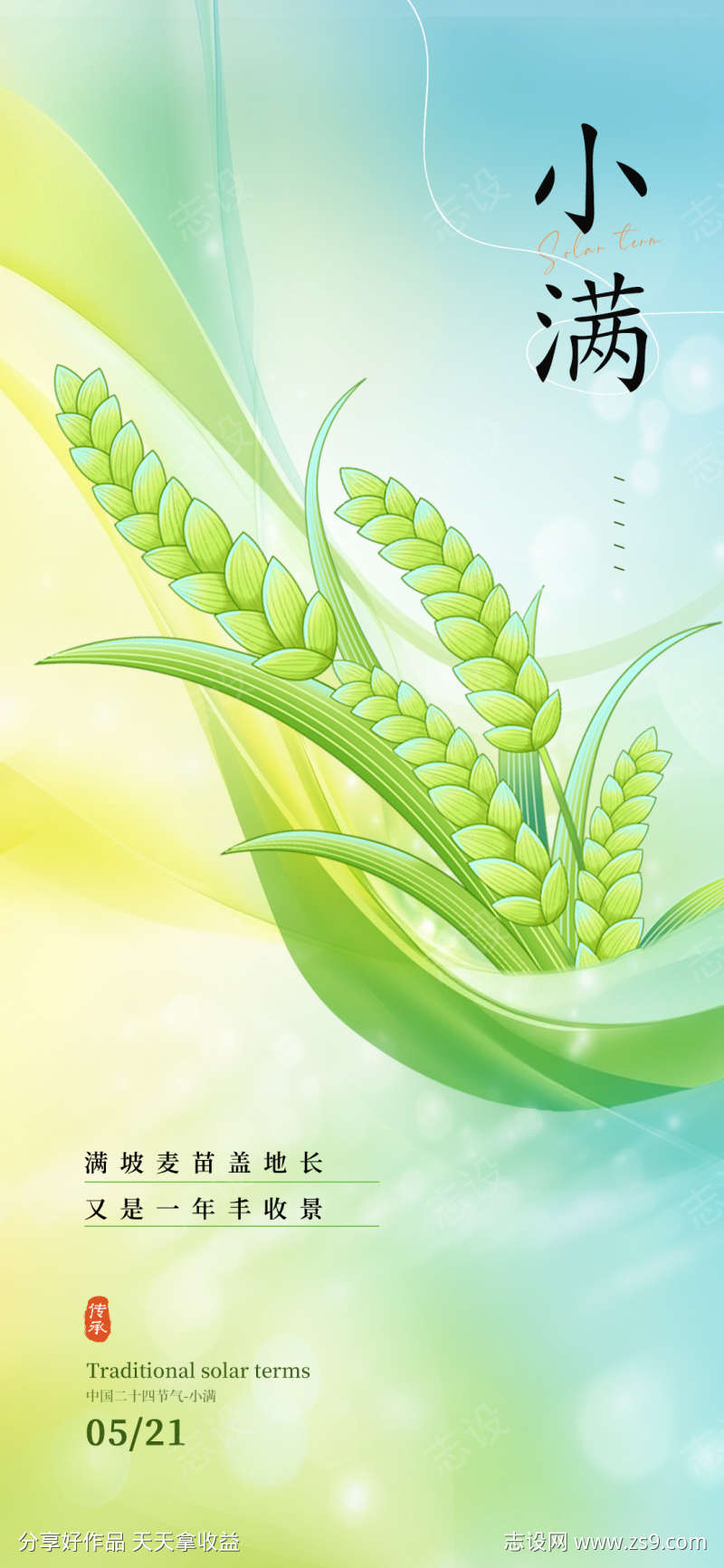 小满二十四节气海报