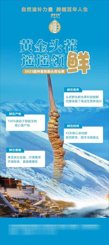 冬虫夏草海报设计_源文件下载_CDR格式_950X2137像素-创意,设计,海报-作品编号:2025042108394756-志设-zs9.com