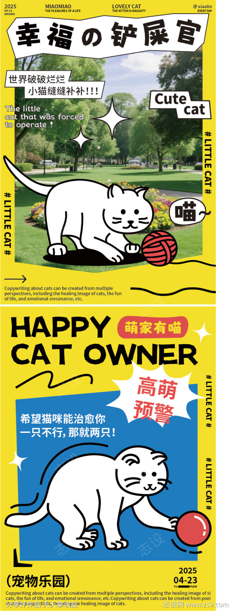 猫咪治愈世界品牌宣传广告