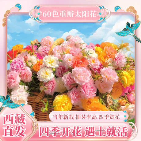 粉色主图1_源文件下载_PSD格式_800X800像素-粉色,花花,主图-作品编号:2025042210067592-源文件库-ywjfx.cn