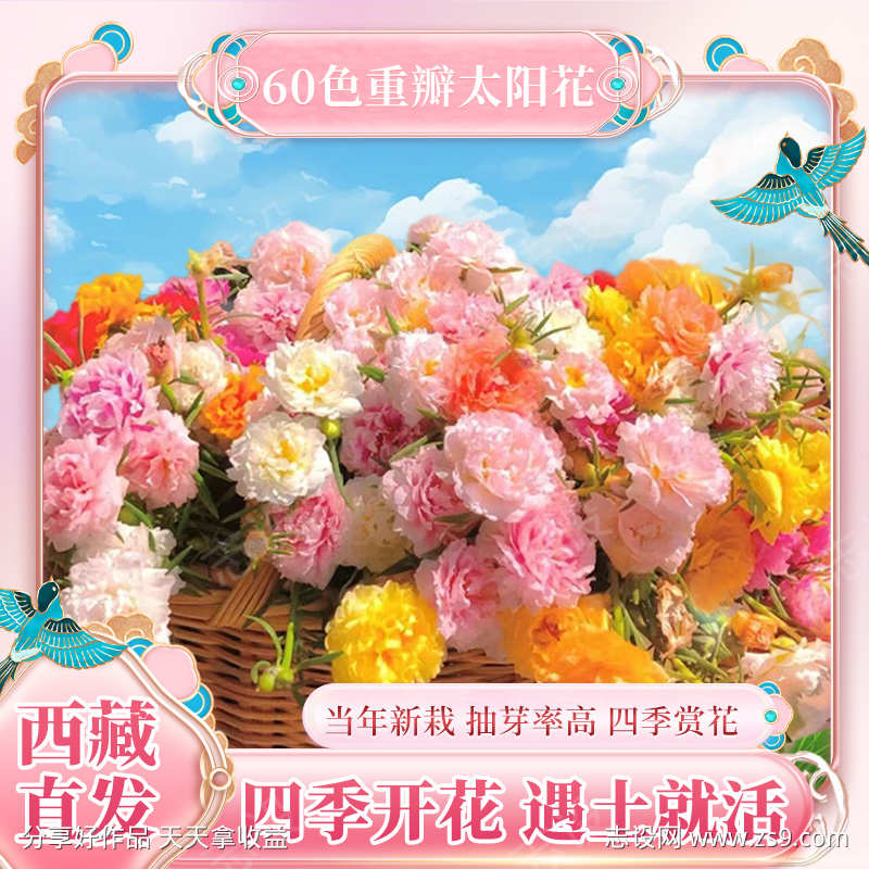 粉色主图1