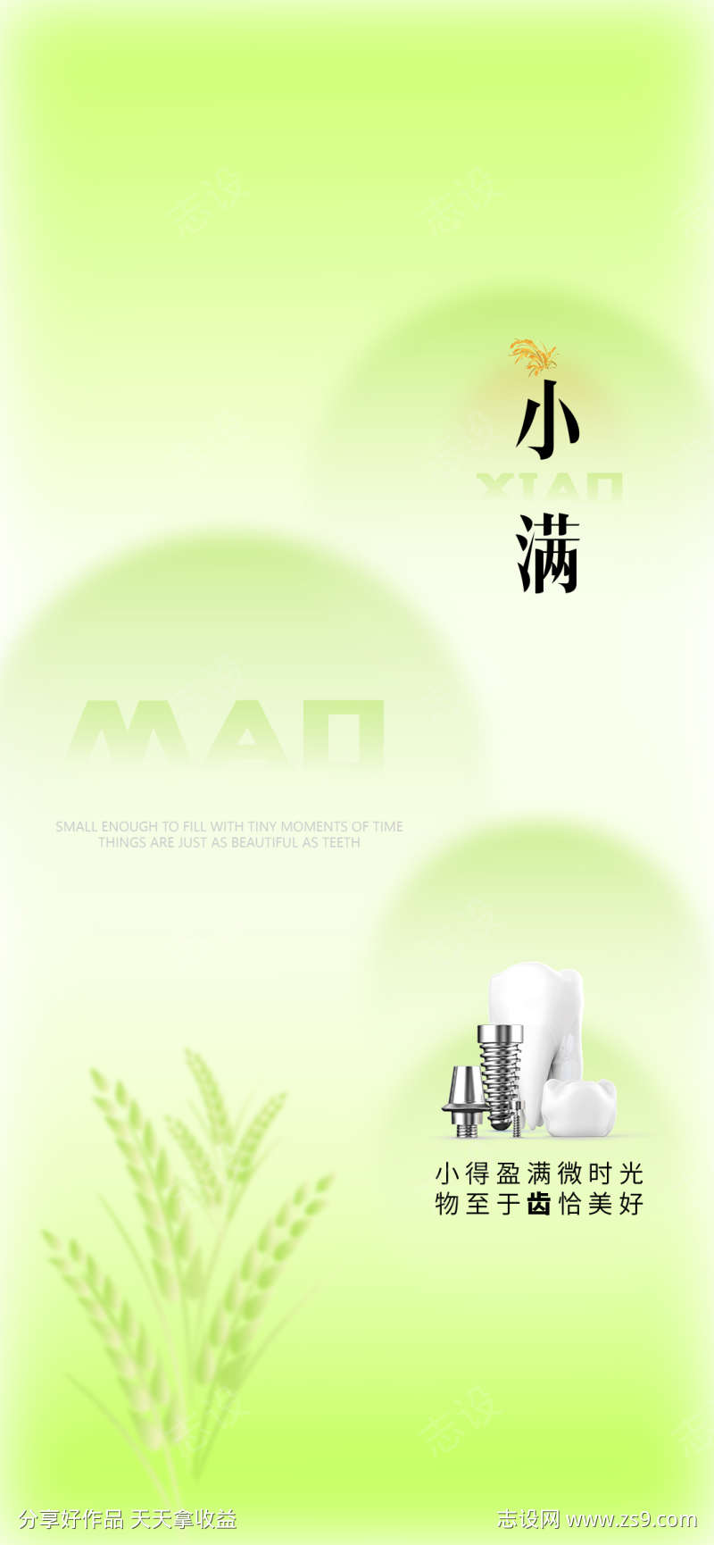 小满口腔医美节气海报
