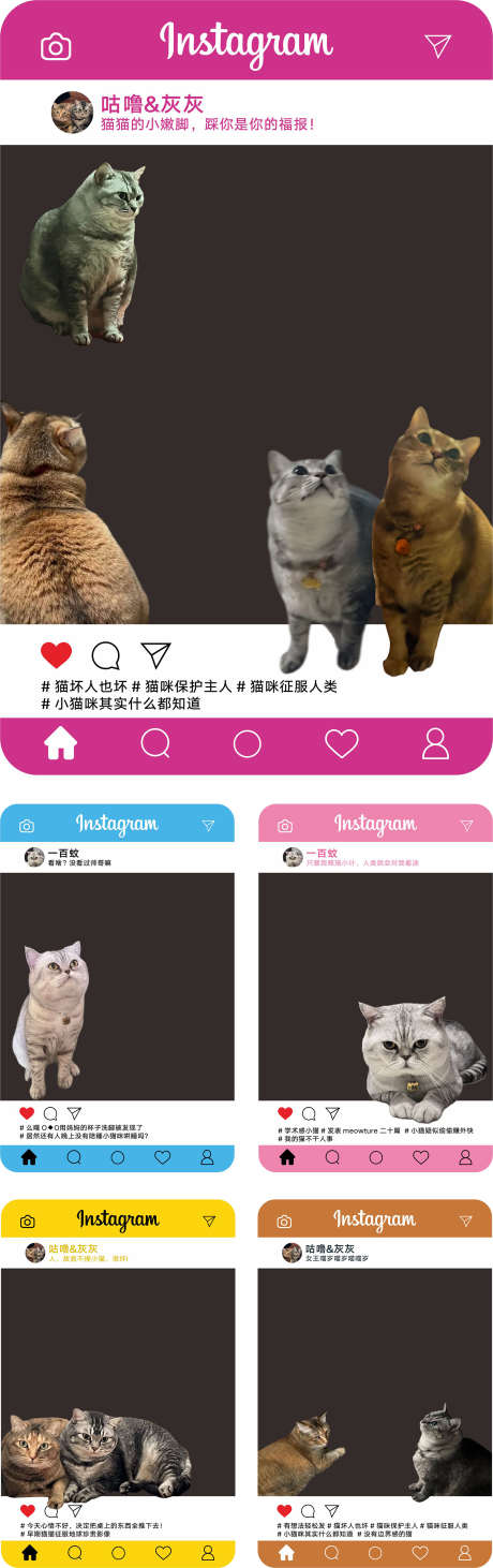 宠物拍照框_源文件下载_CDR格式_1576X5008像素-小狗,小猫,相框-作品编号:2025042410544272-志设-zs9.com