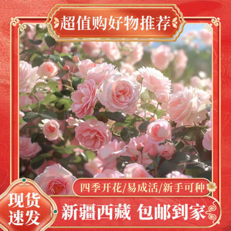 电商主图花卉_源文件下载_PSD格式_800X800像素-促销,活动,花卉-作品编号:2025042210036514-源文件库-ywjfx.cn