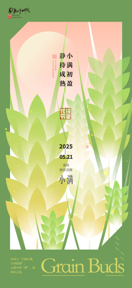 创意麦穗二十四节气小满海报_源文件下载_PSD格式_1080X2340像素-麦穗,节气,小满-作品编号:2025042311206225-志设-zs9.com