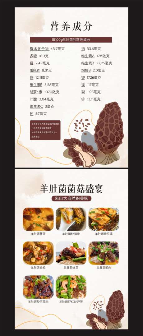 羊肚菌菌类美食展板_源文件下载_CDR格式_1147X2696像素-美食,羊肚菌,风格-作品编号:2025042514127318-志设-zs9.com