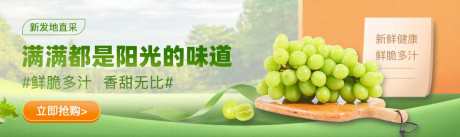 生鲜电商活动促销banner_源文件下载_PSD格式_1047X312像素-打折,活动,电商-作品编号:2025042514465216-志设-zs9.com
