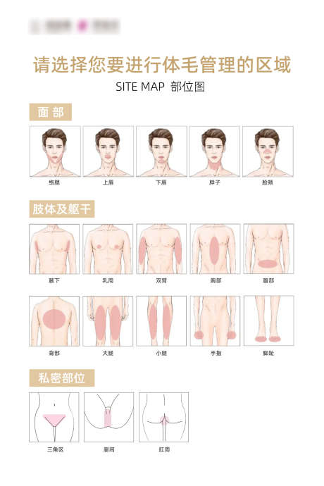 脱毛部位图_源文件下载_PSD格式_1701X2551像素-部位,脱毛,美容-作品编号:2025042515454762-志设-zs9.com