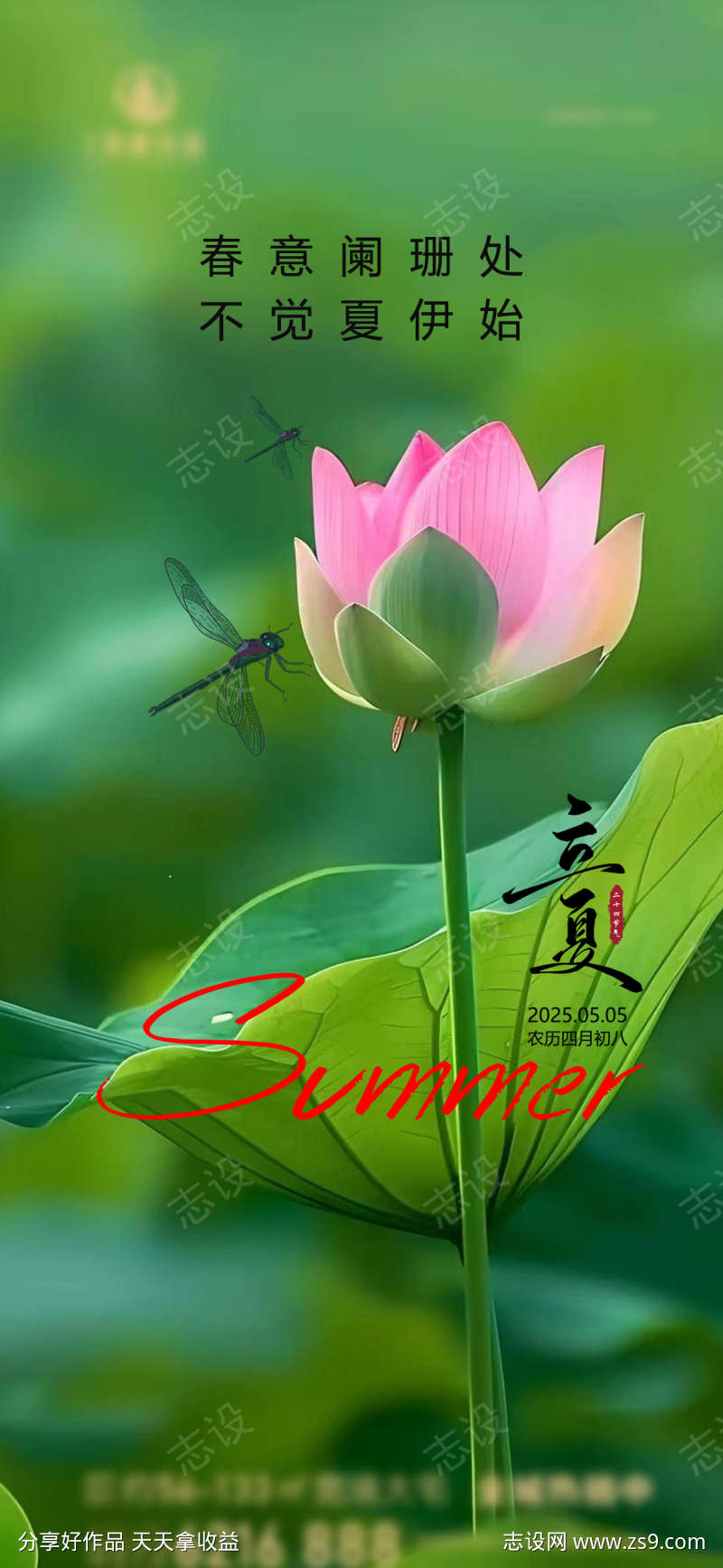 房地产立夏节气海报