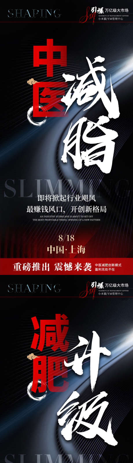 中医减脂海报_源文件下载_PSD格式_1080X2230像素-系列海报,躺瘦,塑形-作品编号:2025042813379966-志设-zs9.com