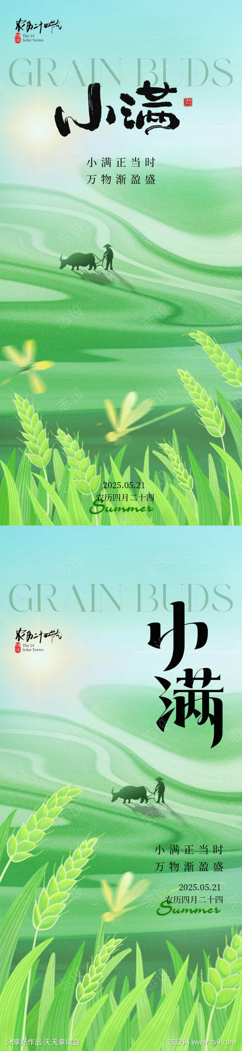 小满节气海报