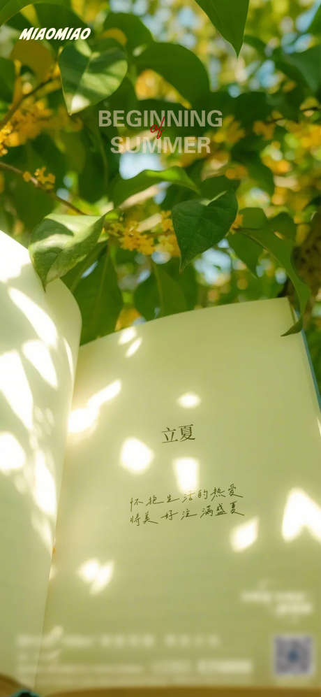 立夏文创节气海报_源文件下载_PSD,AI格式_1169X2533像素-光影,摄影,书本-作品编号:2025042809392073-志设-zs9.com