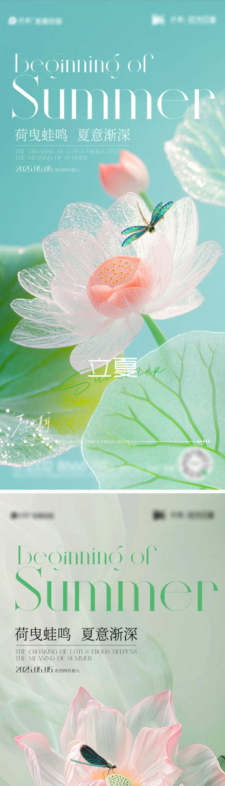 立夏节气海报_源文件下载_CDR格式_1440X6263像素-蜻蜓,荷花,夏天-作品编号:2025042911305983-志设-zs9.com
