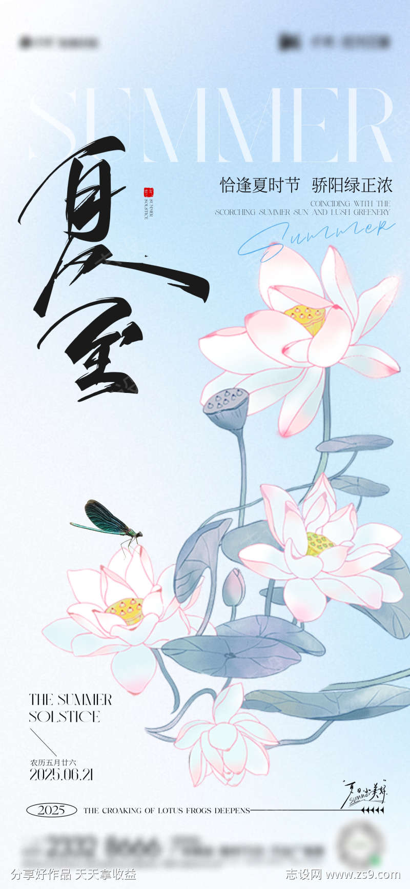 夏至节气海报
