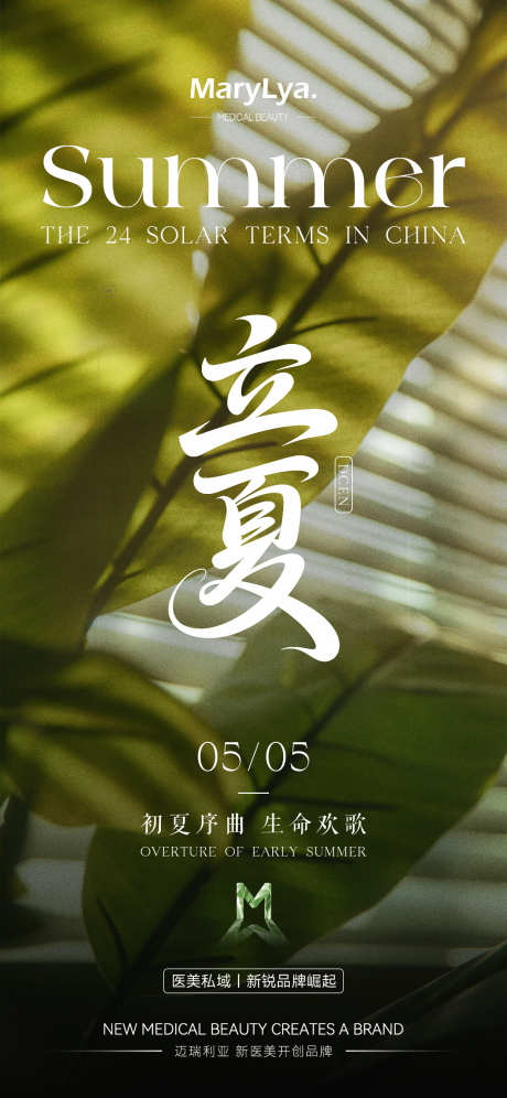 立夏节气海报_源文件下载_PSD格式_1242X2688像素-朋友圈,排版,大字-作品编号:2025042913544784-志设-zs9.com