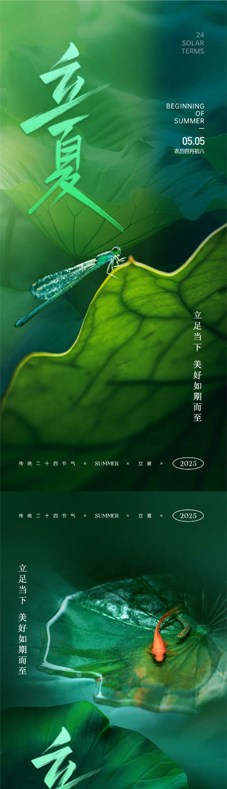 立夏节气海报_源文件下载_PSD格式_1434X6212像素-锦鲤,荷叶,蜻蜓-作品编号:2025043009175927-志设-zs9.com