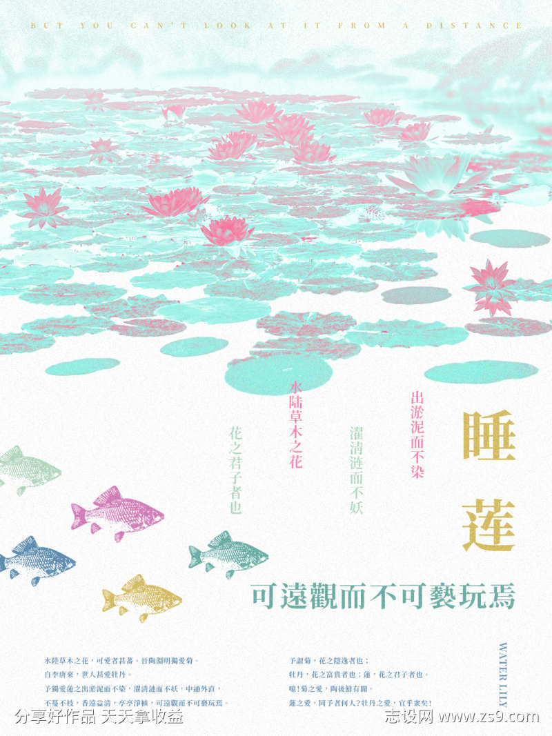 睡莲海报图
