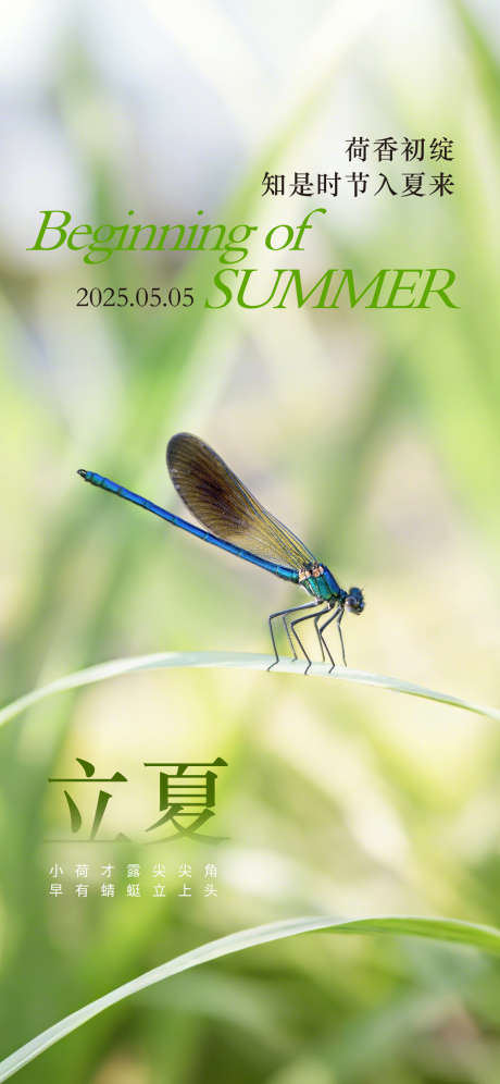 二十四节气立夏海报_源文件下载_PSD格式_1242X2688像素-创意,简约,节气-作品编号:2025043015582239-志设-zs9.com
