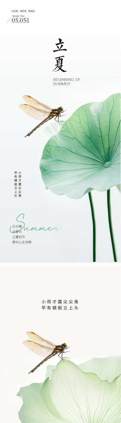 二十四节气立夏海报_源文件下载_AI格式_1112X4834像素-医美,创意,简约-作品编号:2025043009408934-志设-zs9.com
