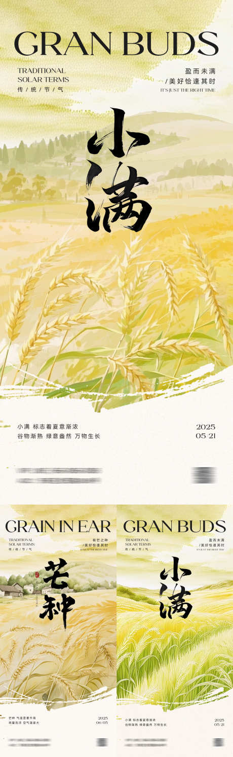 小满芒种海报_源文件下载_PSD格式_1181X3835像素-花草,简约,唯美-作品编号:2025050415148140-志设-zs9.com
